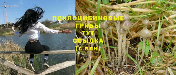 а пвп мука Алзамай